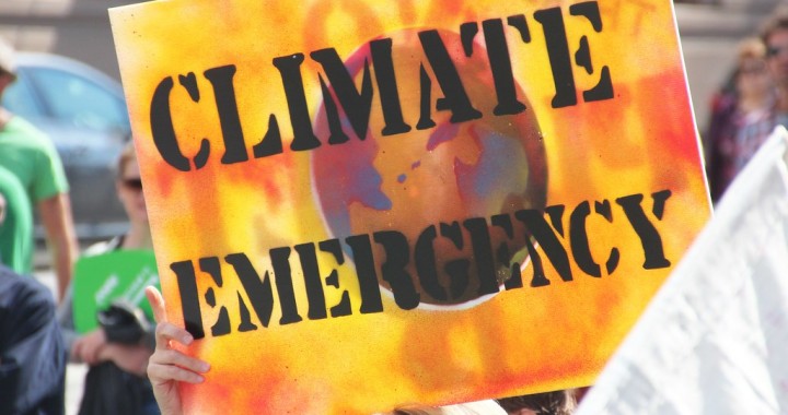 Climate emergyency