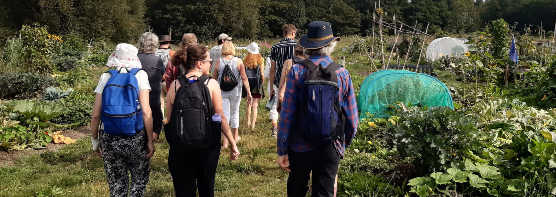People walking into a community allotment