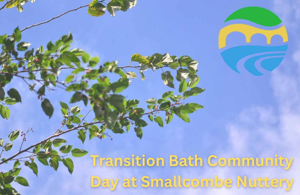 Branches and leaves against a blue sky with the Transition Bath logo and caption Transition Bath Community Day at Smallcombe Nuttery