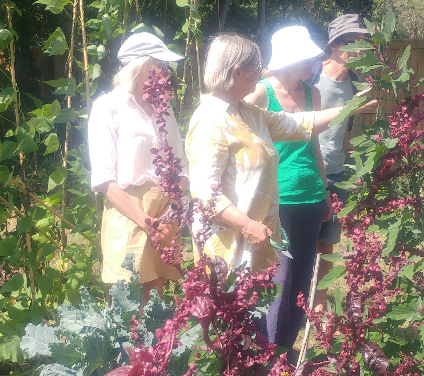 Gardening in Alice Park Community Garden